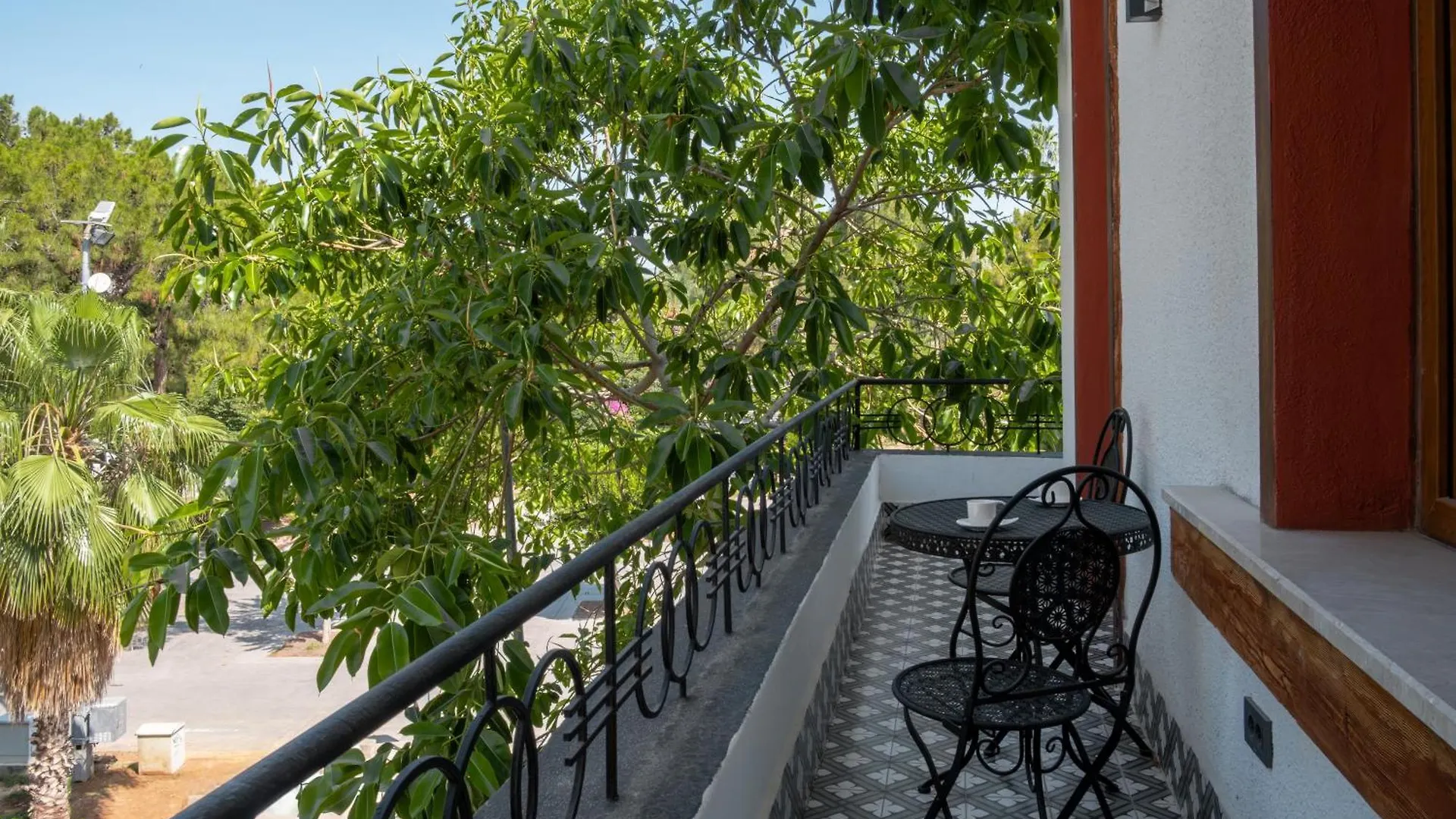 Perge Pine Green Adults Only 18 Plus Antalya 3*,